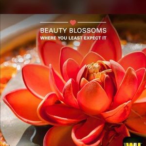 Meet your Posher, Sonia